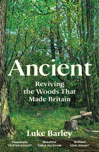 Cover image for 9781805222231 - Ancient