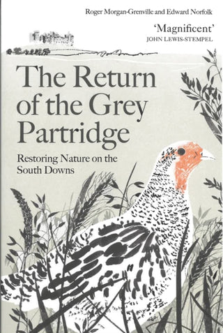 Cover image for 9781805223498 - The Return of the Grey Partridge