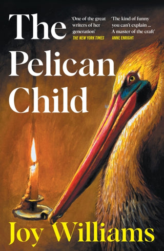 Cover image for 9781805228578 - The Pelican Child