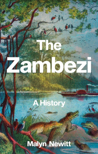 Cover image for 9781805263173 - The Zambezi