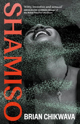 Supplemental image for 9781805301271 - Shamiso
