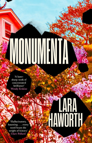 Cover image for 9781805301967 - Monumenta