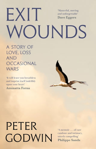 Cover image for 9781805303336 - Exit Wounds