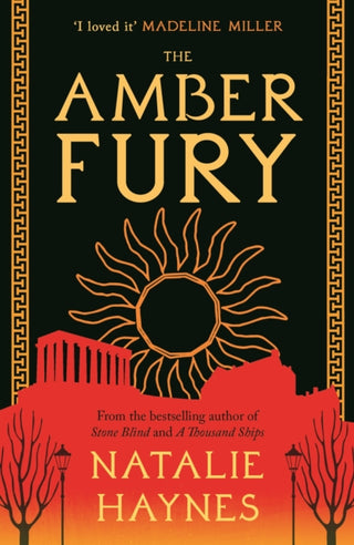 Cover image for 9781805461005 - The Amber Fury