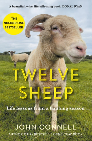 Cover image for 9781805461906 - Twelve Sheep