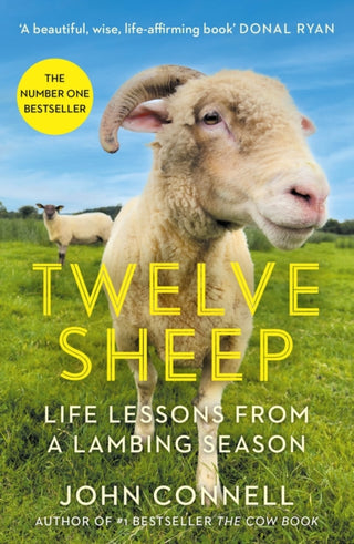 Cover image for 9781805461920 - Twelve Sheep