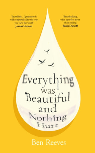 Cover image for 9781805465799 - Everything was Beautiful and Nothing Hurt