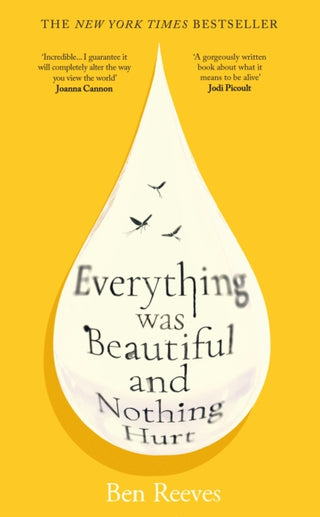 Cover image for 9781805465799 - Everything was Beautiful and Nothing Hurt