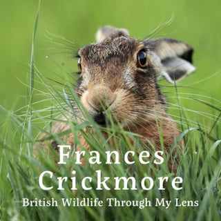 Cover image for 9781805951551 - Frances Crickmore - British Wildlife Through My Lens