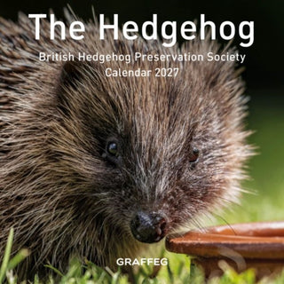 Cover image for 9781805952022 - The Hedgehog Calendar 2027