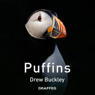Cover image for 9781805952190 - Puffins