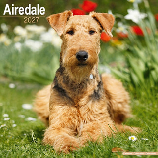 Cover image for 9781806480012 - Airedale Terrier Wall