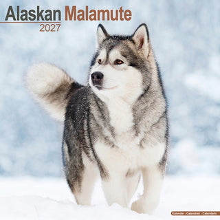 Cover image for 9781806480036 - Alaskan Malamute Wall
