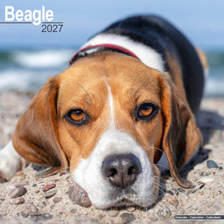 Cover image for 9781806480098 - Beagle Wall