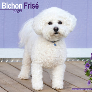 Cover image for 9781806480142 - Bichon Frise Wall