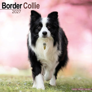 Cover image for 9781806480159 - Border Collie Wall