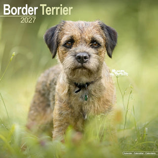 Cover image for 9781806480166 - Border Terrier Wall