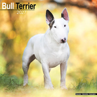 Cover image for 9781806480210 - Bull Terrier Wall