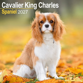 Cover image for 9781806480241 - Cavalier King Charles Spaniel Wall