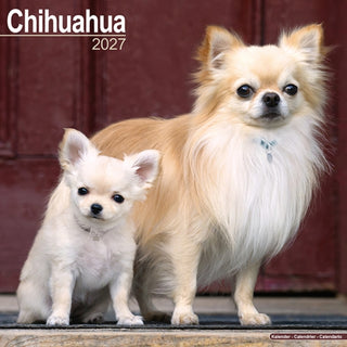 Cover image for 9781806480265 - Chihuahua Wall /AVONSI