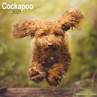 Cover image for 9781806480289 - Cockapoo Wall