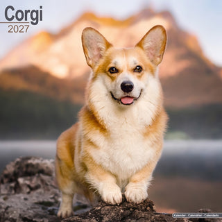 Cover image for 9781806480302 - Corgis Wall
