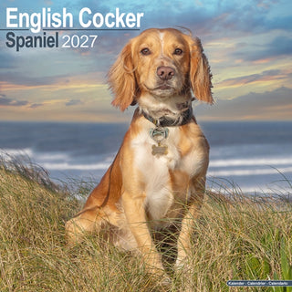 Cover image for 9781806480388 - English Cocker Spaniel Wall