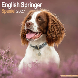 Cover image for 9781806480401 - English Springer Spaniel Wall