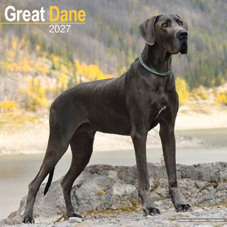 Cover image for 9781806480494 - Great Dane Wall
