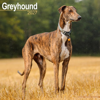 Cover image for 9781806480517 - Greyhound SS Wall