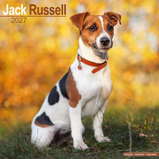 Cover image for 9781806480548 - Jack Russell Wall
