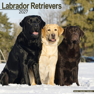 Cover image for 9781806480609 - Labrador Retrievers Wall
