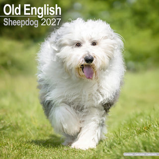 Cover image for 9781806480692 - Old English Sheepdog SS Wall