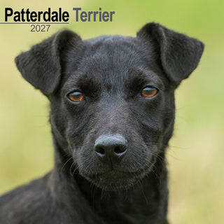 Cover image for 9781806480715 - Patterdale Terriers Wall