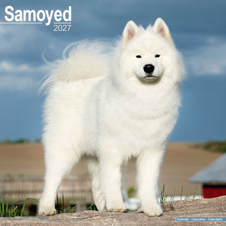 Cover image for 9781806480814 - Samoyed Wall