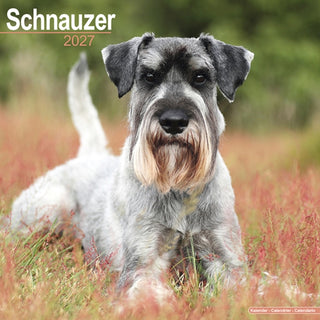 Cover image for 9781806480838 - Schnauzers Wall