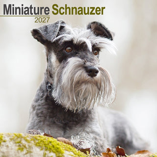 Cover image for 9781806480845 - Miniature Schnauzer Wall