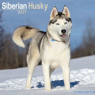 Cover image for 9781806480906 - Siberian Husky Wall