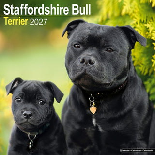 Cover image for 9781806480913 - Staffordshire Bull Terrier Wall