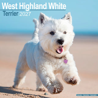 Cover image for 9781806480968 - West Highland White Terrier Wall