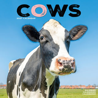 Cover image for 9781806481286 - Cows Wall