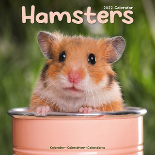 Cover image for 9781806481378 - Hamsters Wall