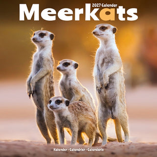 Cover image for 9781806481415 - Meerkats SS Wall