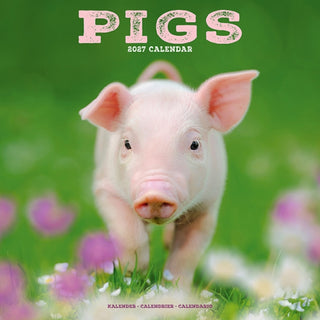Cover image for 9781806481460 - Pigs Wall