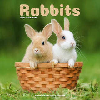 Cover image for 9781806481484 - Rabbits Wall / AVONSI
