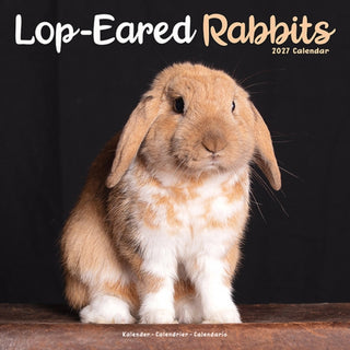 Cover image for 9781806481491 - Lop eared Rabbits W