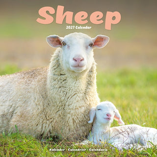 Cover image for 9781806481514 - Sheep Wall