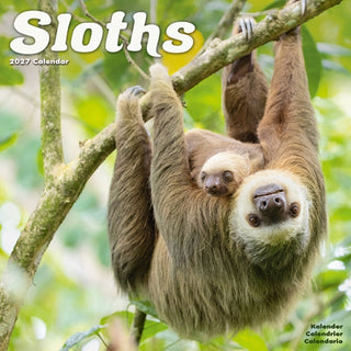Cover image for 9781806481521 - Sloths Wall