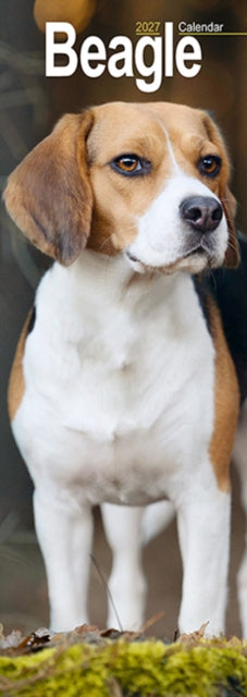 Cover image for 9781806481965 - Beagle Slim