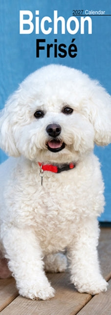Cover image for 9781806481972 - Bichon Frise Slim
